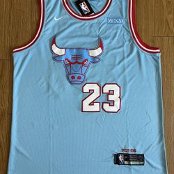 MENS MICHAEL JORDAN CHICAGO BULLS JERSEY 2XL