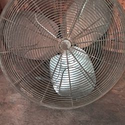 Wall Mount Fan 
