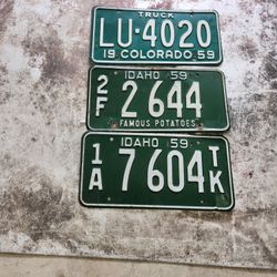 59 License Plates 