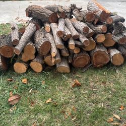 Firewood