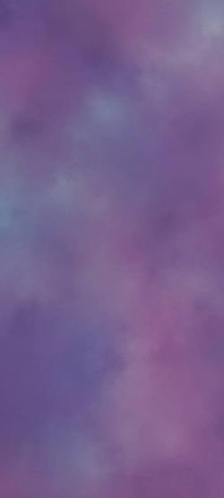 ISO: Doggy Training Pads