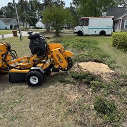 Stump Grinding