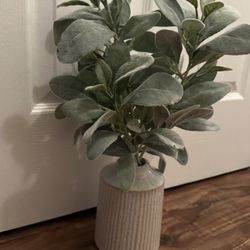 Gold Hooks , Artificial Plant 