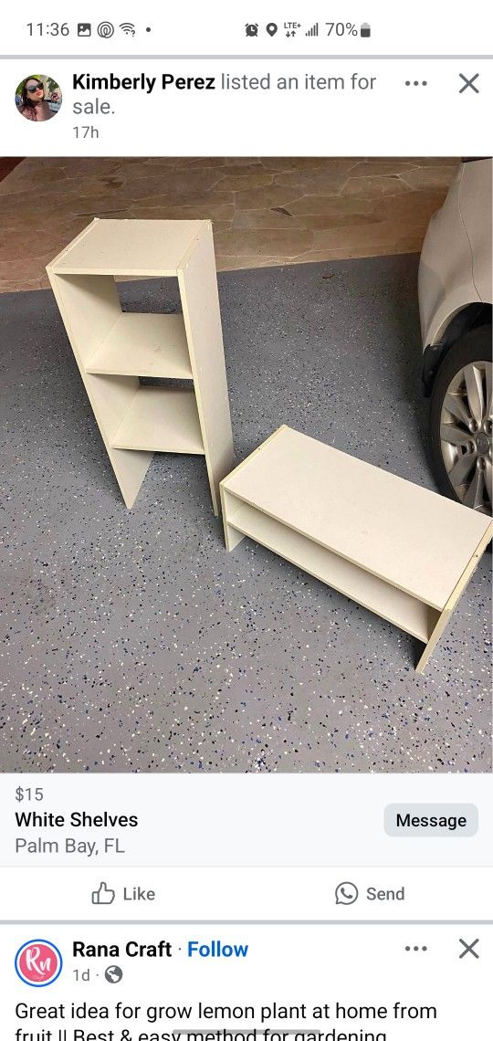 Shelves