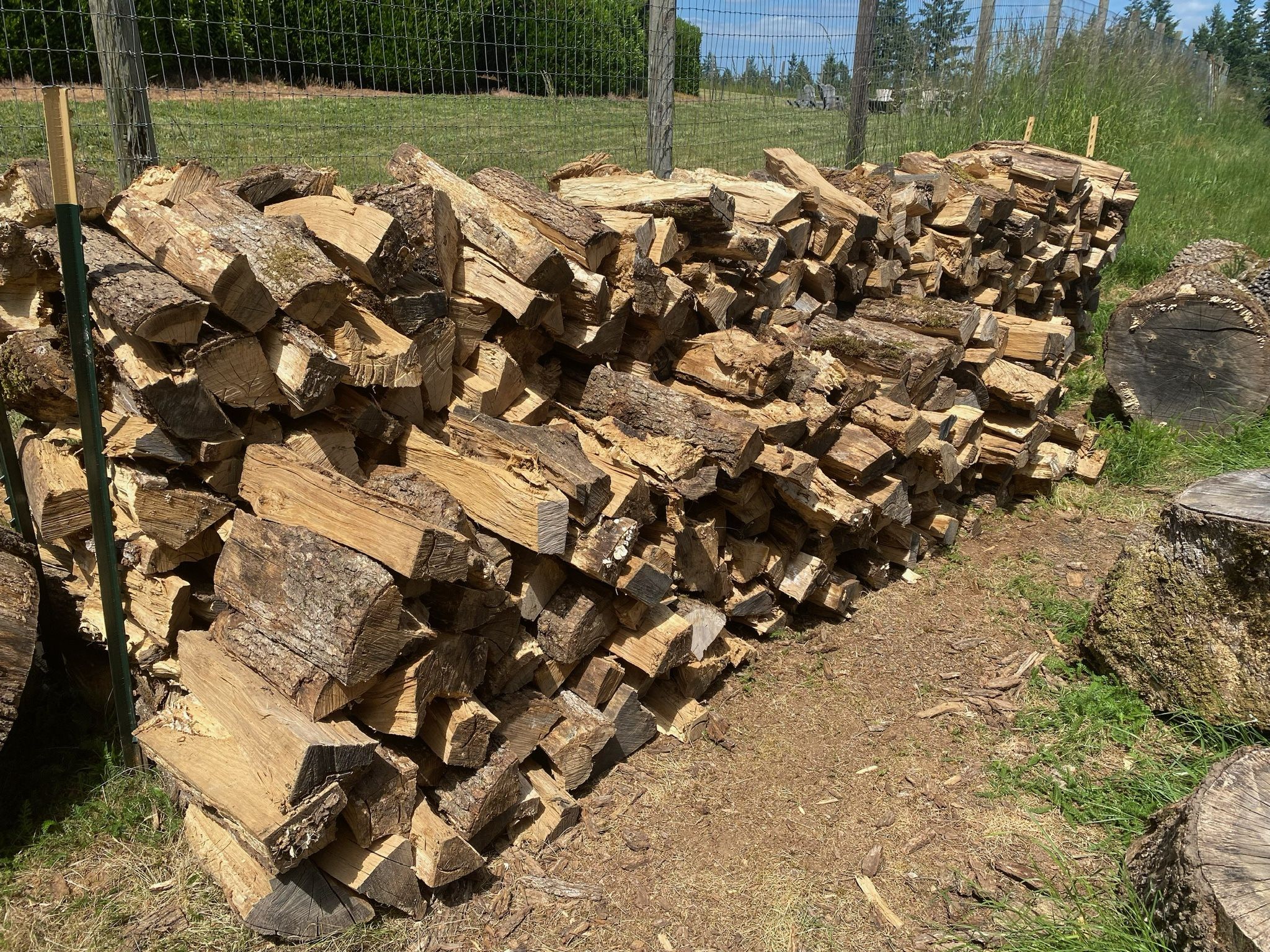 Oak Firewood