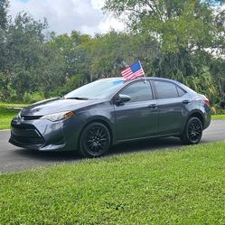 2019 Toyota Corolla 