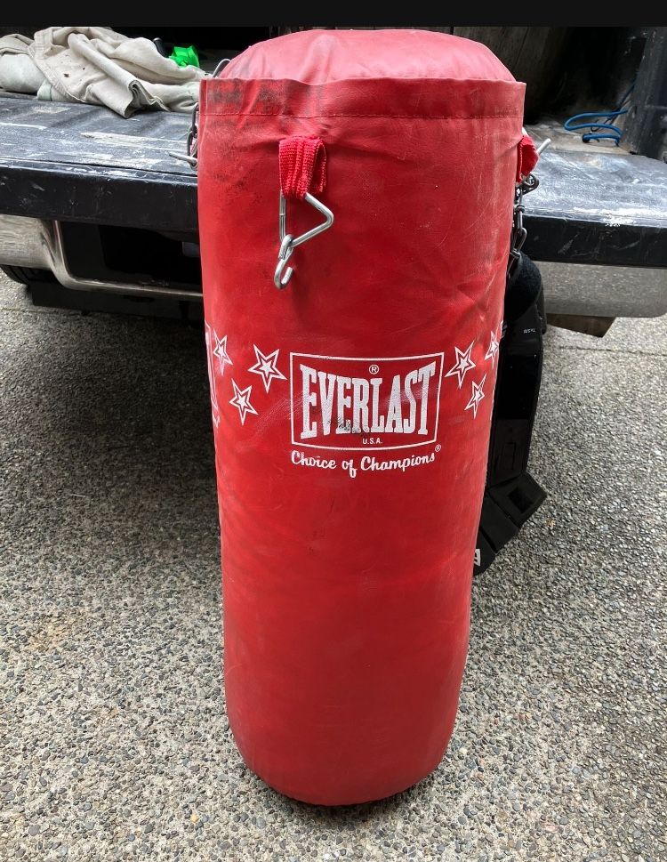 Everlast Punching Bag 50lbs