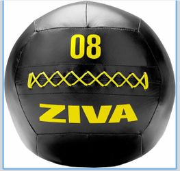 Ziva exercise ball