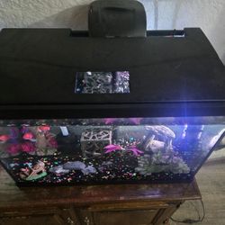20G Tall Fish Tank 