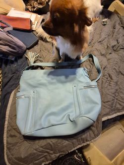 Large Rosetti purse