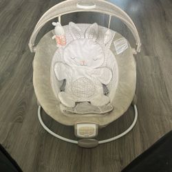 Ingenuity Baby Swing