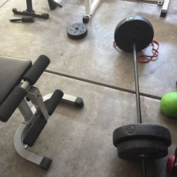 Barbell With Weights 