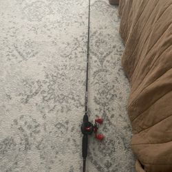 Fishing rod, bait caster combo
