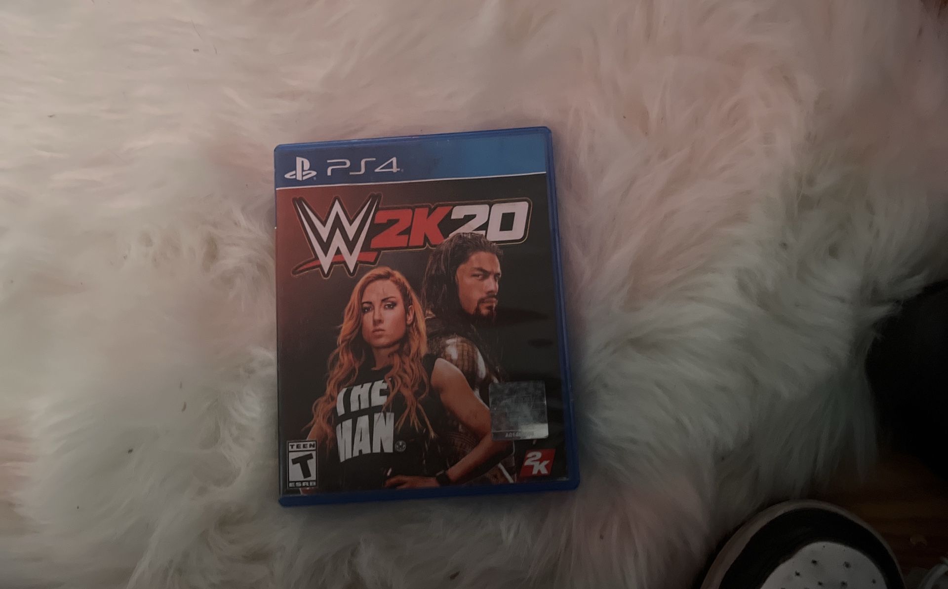 WWE 20