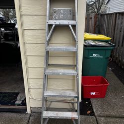 6 Foot Ladder