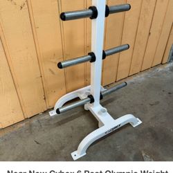 Near New Cybex 6 Post Olympic Weight Tree / Rack With 2 Bar Holders