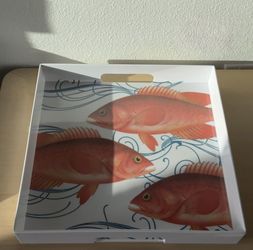 High Quality Thick BPA-Free Salmon Patterned Countertop Organizer