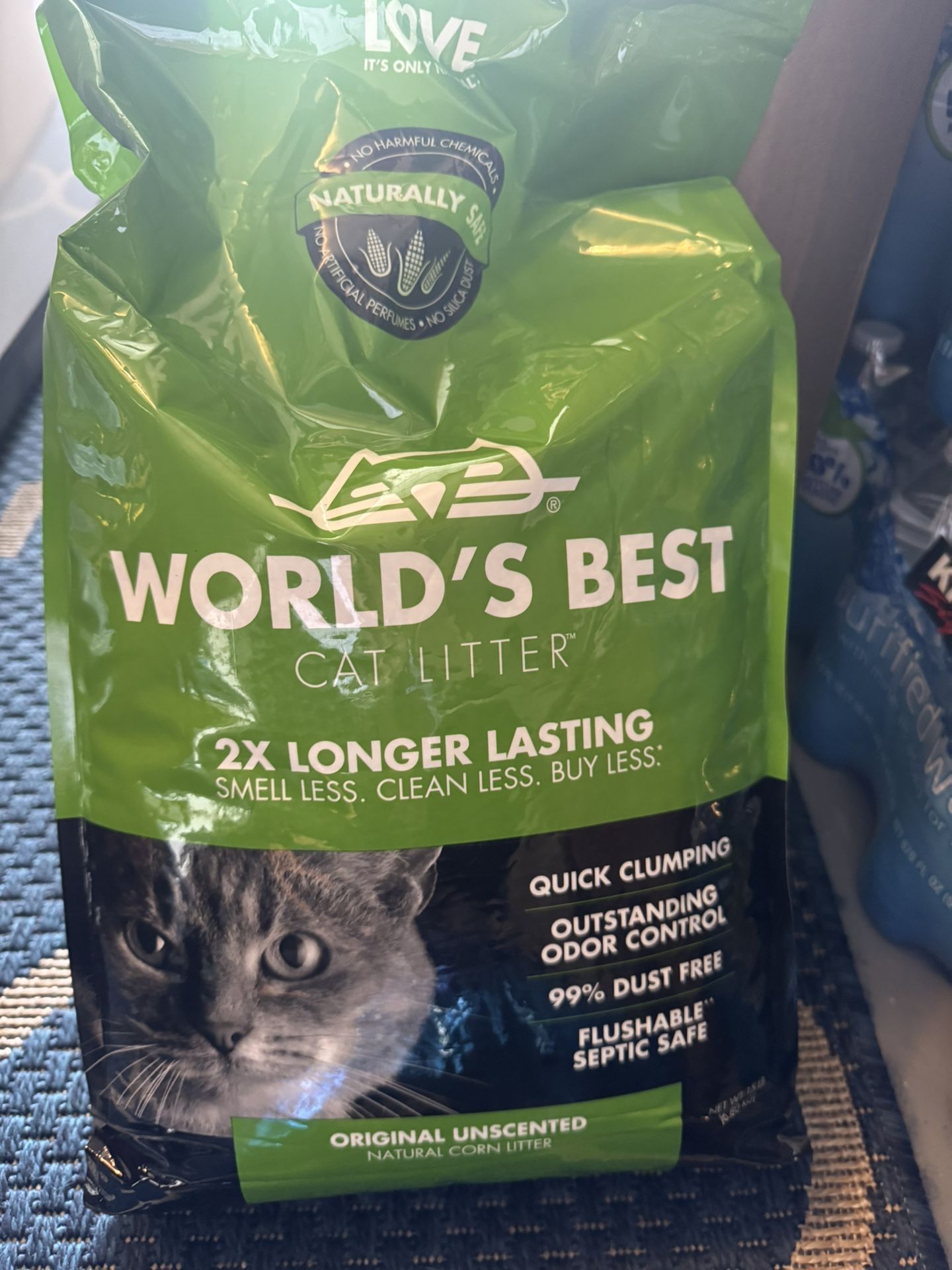 Cat Stuff