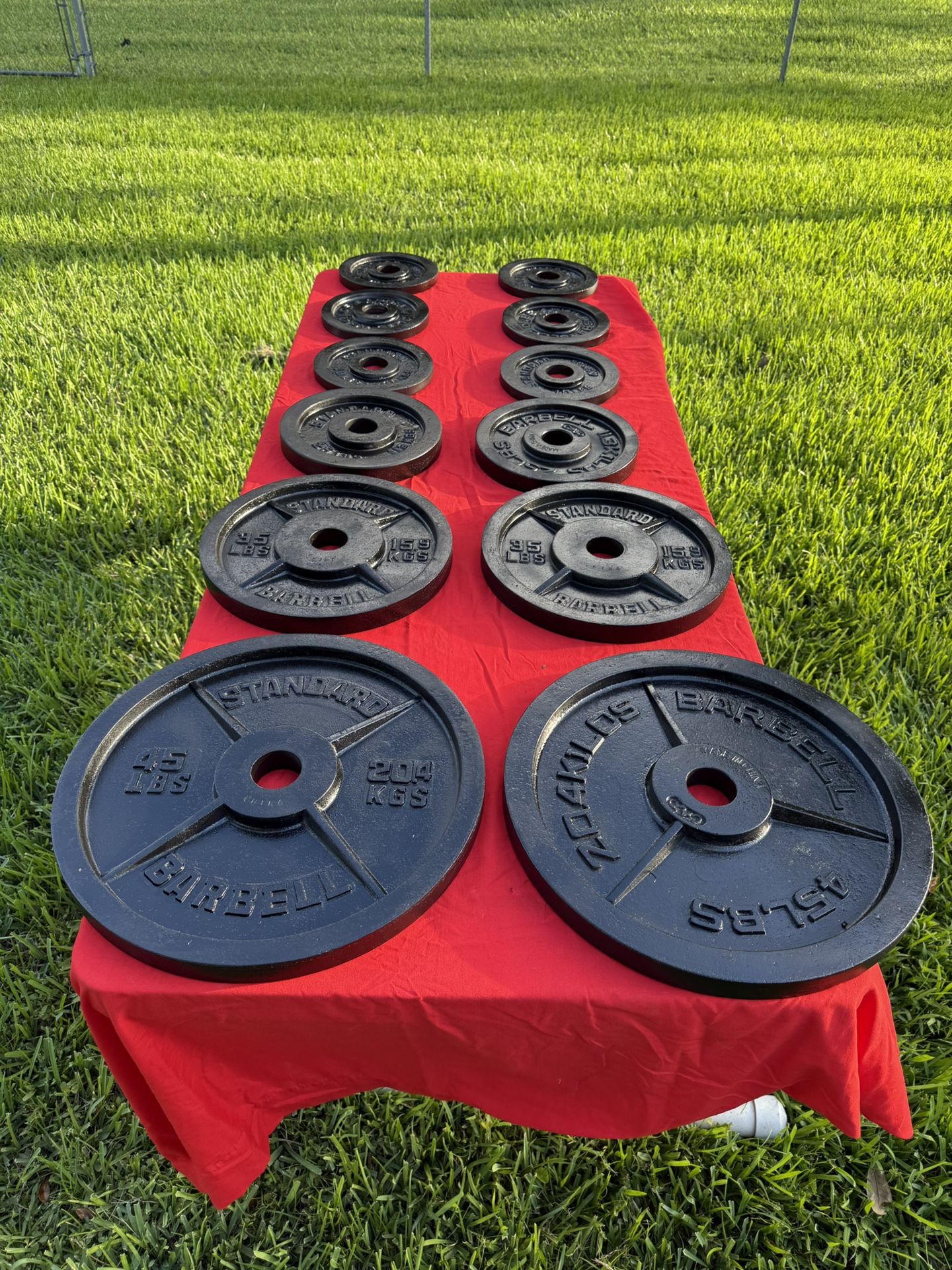 Large Set Of Olympic (2” Hole) Weights