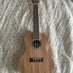 Concert Ukulele Cordoba 15CM