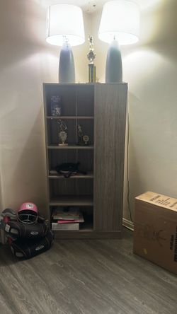 Living room bookshelf