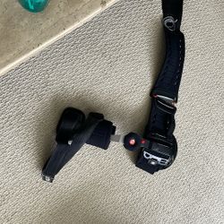 Hip Race, Six Weeks Old