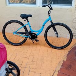 Jamis Earth Cruiser Bike