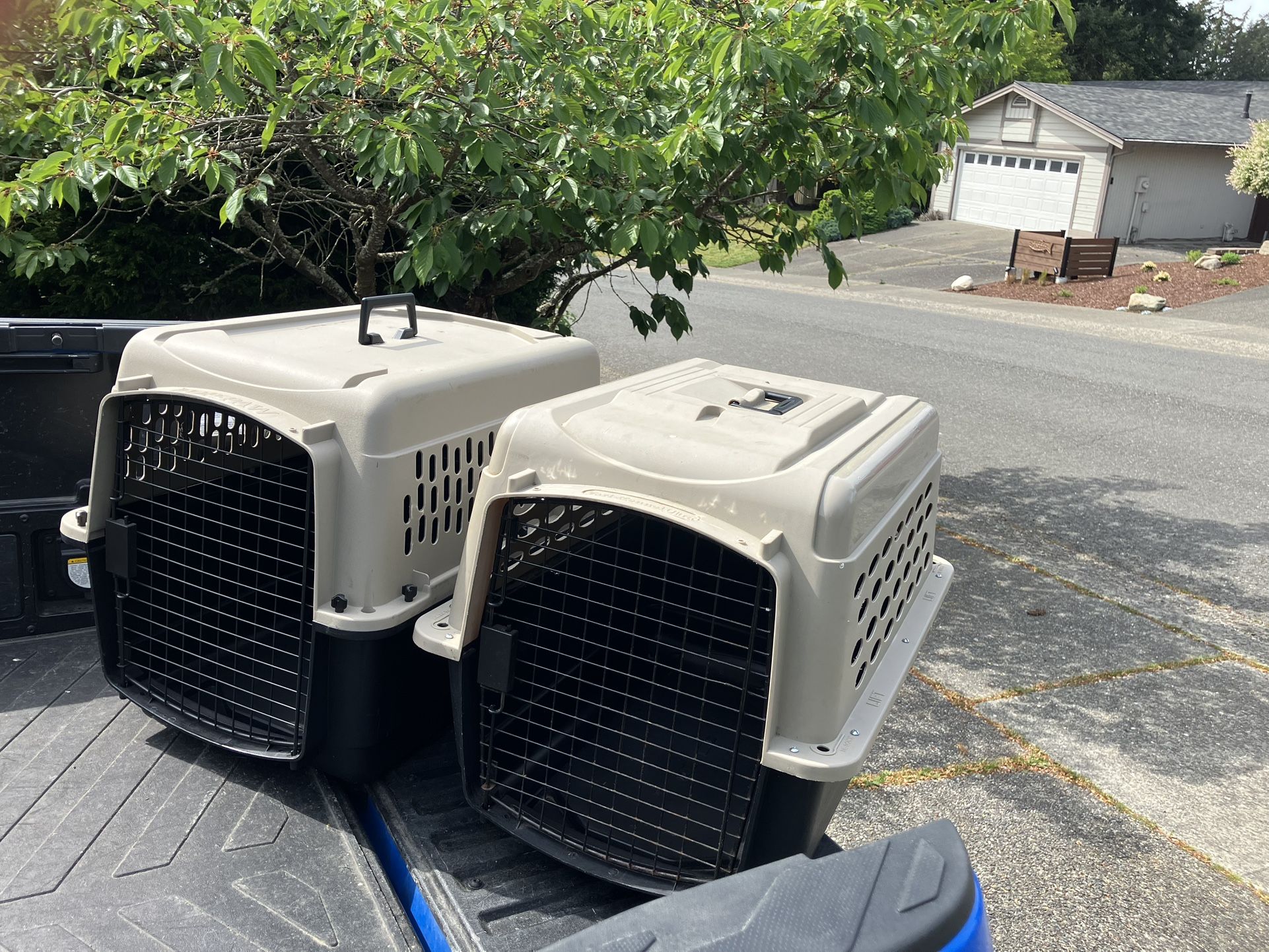 Medium Dog Kennel Crate Carrier Airline Approved like New 28” L by 20” W by 20” $35 Each