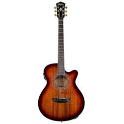 Washburn Guitar  EA55G-A-U 