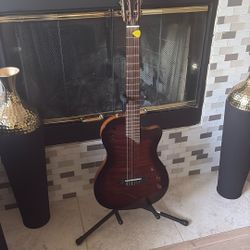 brand New Guitar