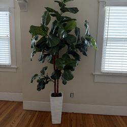 Artificial Fiddle leaf Fig Three $110.00