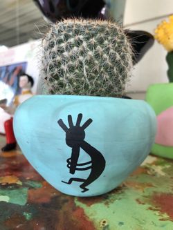 Cactus on ceramic pot
