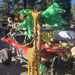Safari Theme Party Stuff