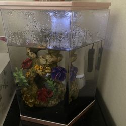 Rose Gold Fish Tank