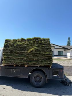 Sod For Sale Grade A Quality