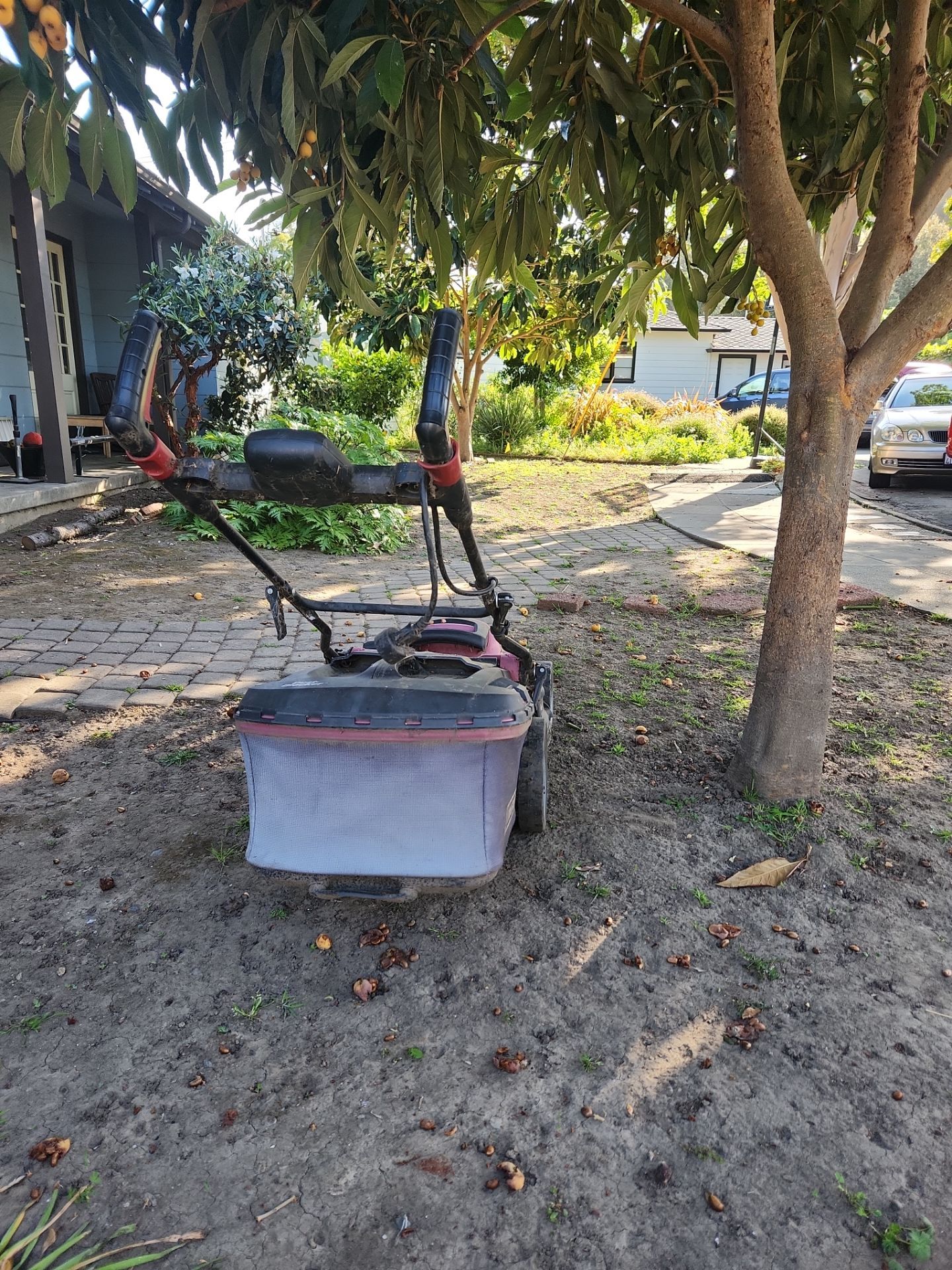 Electric Lawn Mower