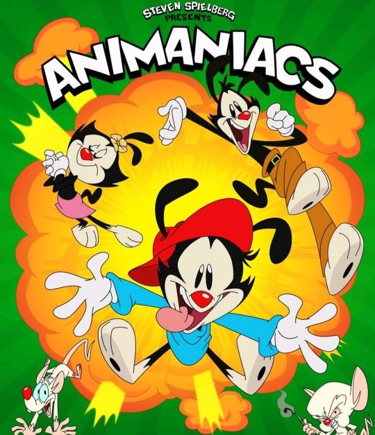 Animaniacs And Pinky And The Brain Complete Series On USB Flash Drive 