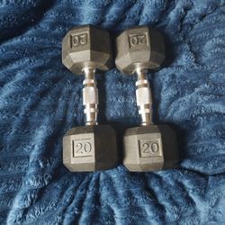 Two 20 Pound Ignite Dumbbells 
