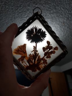 Flowers Collection Hanging Art