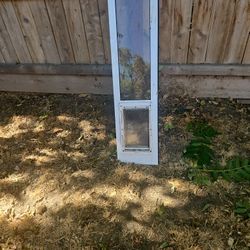 Doggy Door