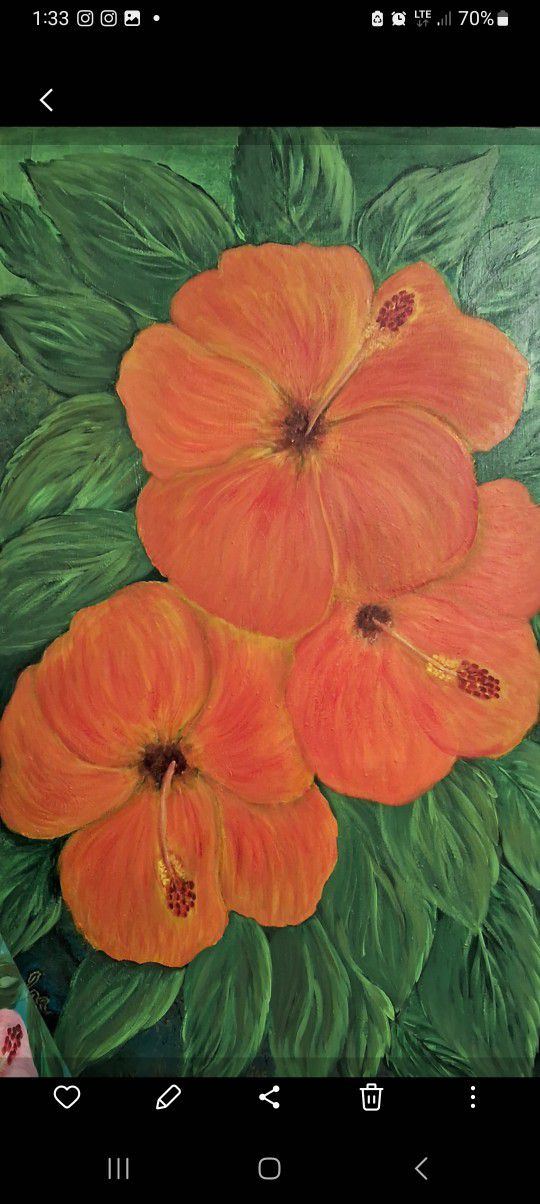 Orange Hibiscus From The Gladis Habana Collection