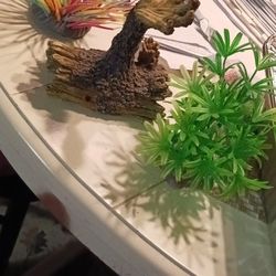 3pc Aquarium Set Gd Fish Or Reptiles 8 Firm