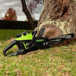 Chainsaw And Weed Trimmer by Greenworks For Sale. 