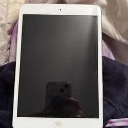 iPad mini