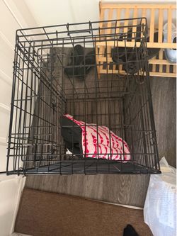 Dog cage