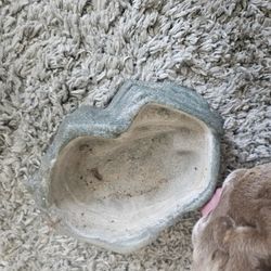 Terrarium Water Bowls For Reptile 