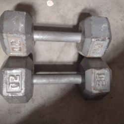 20 Lbs Dumbbell Set