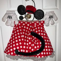 Minnie Costume