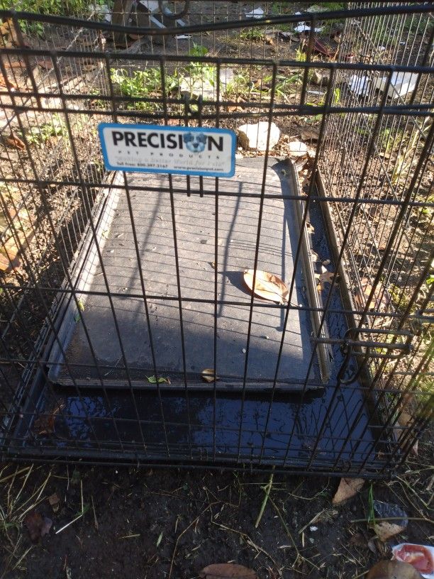 Dog Kennel