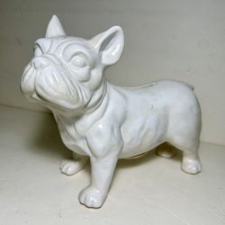 French Bulldog Vintage Ceramic Bank French White Color Old Stock , New